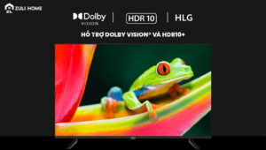 Smart Tivi Xiaomi P1 55 inch Hỗ trợ Dolby Vision® và HDR10+