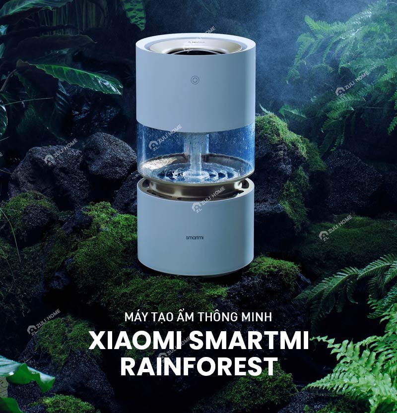 May tao am Xiaomi Smartmi Rainforest 1